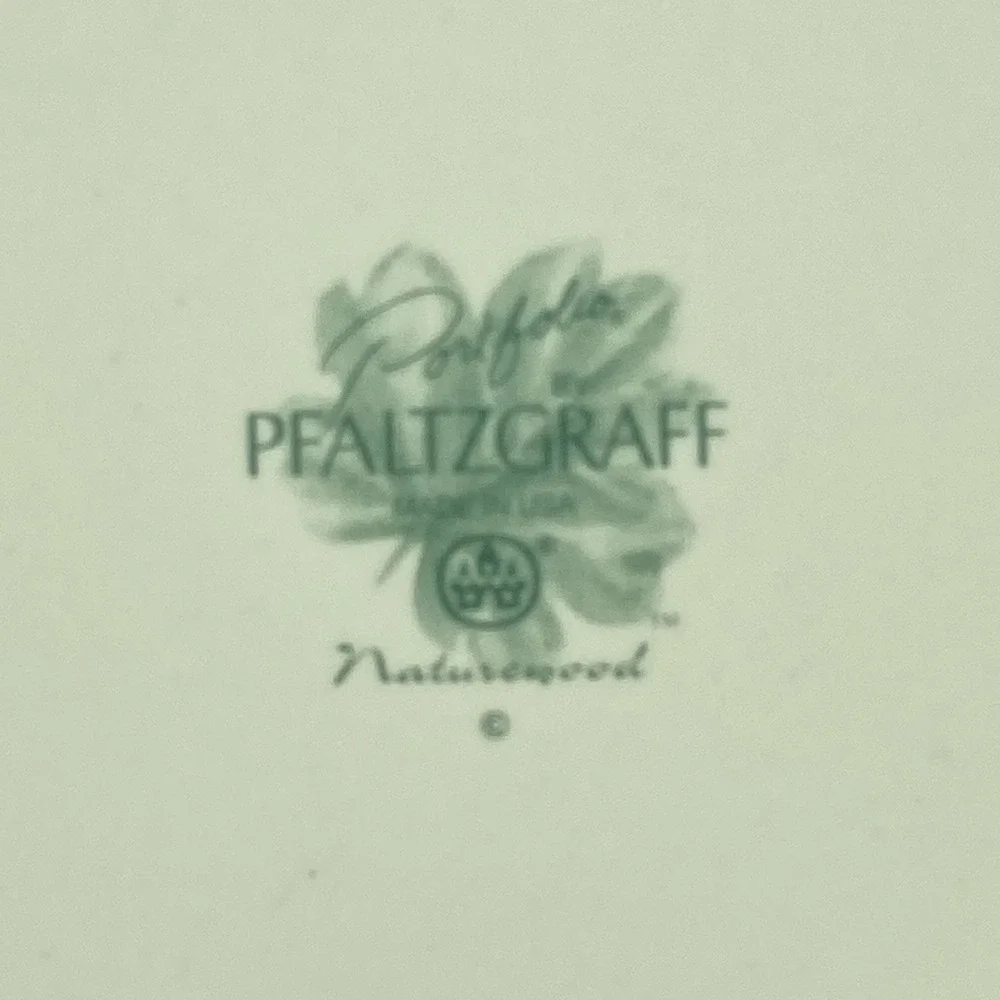 Portfolio‎ Pfaltzgraff Naturewood Dinner Plates 11